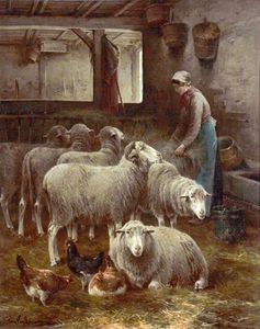 mujer con oveja dicho un barraca