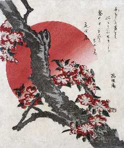 цветущую сакуру
