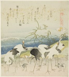 Cranes By The Shore