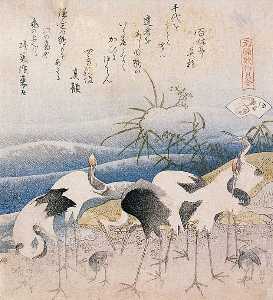Cranes On The Seashore