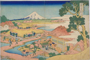 Fuji visto desde el plantación de té En Katakura En la provincia de Suruga