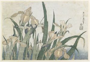 Iris-Blumen-und Heuschrecken