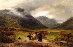 Cattle Droving In The Highlands