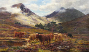 Cattle In A Highland Landscape
