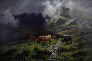 Highland Cattle In A Mountainous Landscape