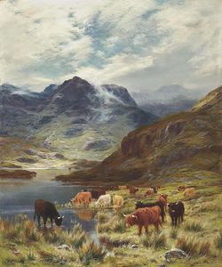 苏格兰高地牛浇水旁的湖