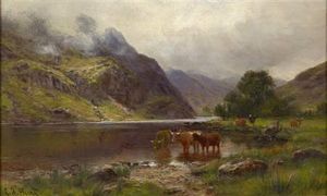 苏格兰高地牛浇水被湖的边缘