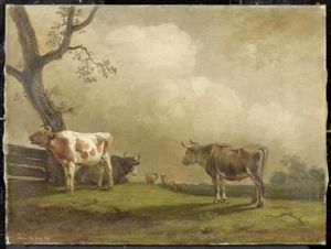 Cows In A Meadow
