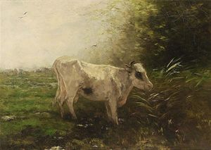 Eine Kuh auf der Weide