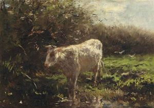 Корова недалеко от Набережную