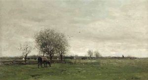 Cows In A Dutch Polder Landscape