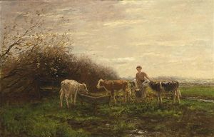 Tending The Cows