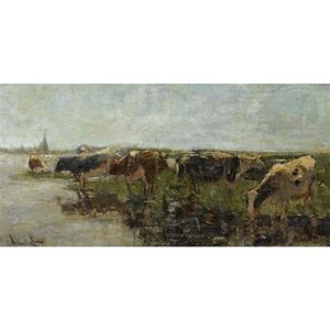 Watering Cows