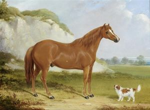 Каштан лошади и спаниель в пейзаже