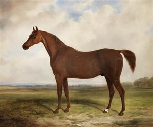 A Chestnut Horse In A Landscape