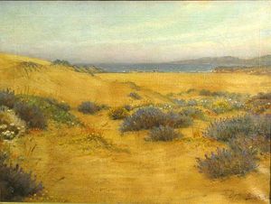 Fioritura Dunes