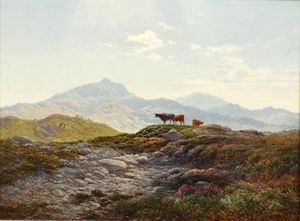 Cattle In A Highland Landscape