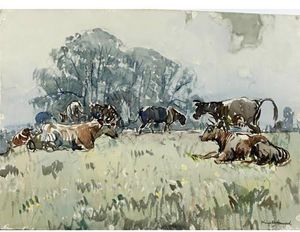 Cattle In A Meadow