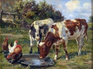 犊牛 和  鸡  围绕  一个  饮用  碗