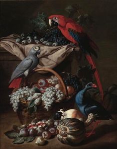 Still Life With Two Parrots, A Guinea Pig