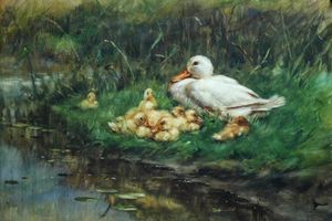 Un pato de la madre con sus patitos en una ribera