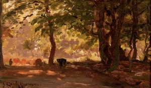Un bosque  camino  -   Un  estudio