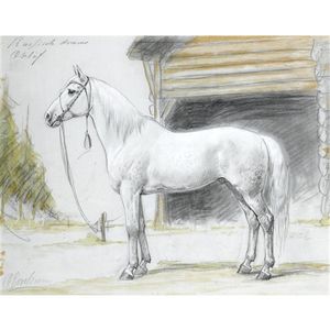 un retrato todaclasede  Un  caballo