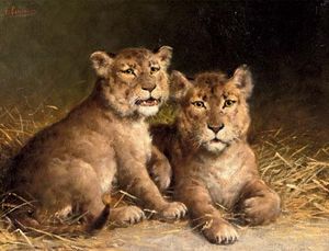 The Little Lions