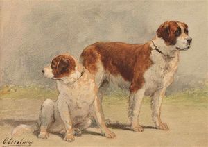 Two Saint Bernard Dogs