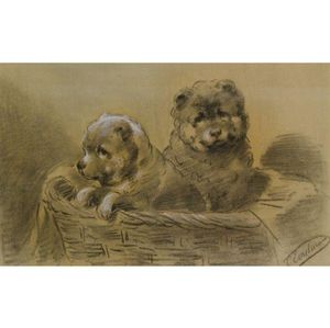 Two St Bernard Puppies