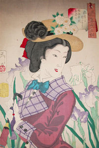 Lady Of Meiji Era