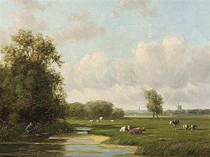 奶牛 在  一个  荷兰  圩田  风景