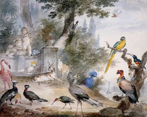 oiseaux au  une  Fontaine  ensoleillé