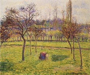 Apple Trees in a Field.