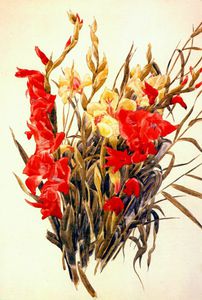 red and yellow gladioli