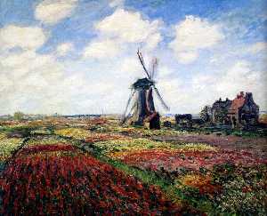Tulipán los campos con el Rijnsburg molino de viento