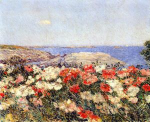 poppies on the isles of shoals