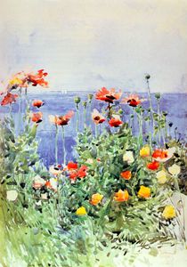 poppies, isles of shoals