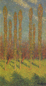 Poplars in Spring