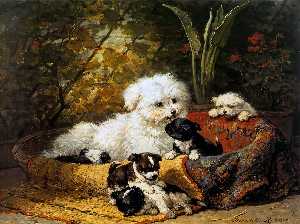 cane con cuccioli al sole giardino