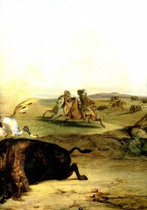 indians hunting the bison