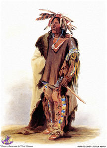 シャープアメリカ先住民（27）