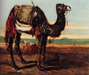 A Bedouin and a Camel Resting in a Desert