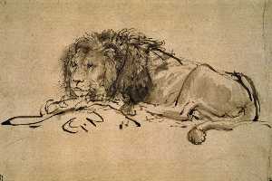 Lion resting, Rijksprentenkabinet, Amster