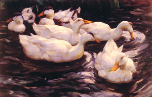 Seis patos en el estanque