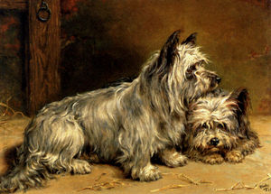 Dos terriers