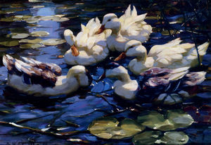 Koester alexander cinco patos en un estanque