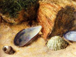 Bodegón con conchas de mar en un cubierto de musgo banco