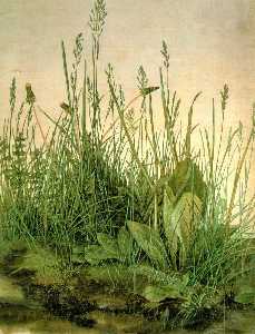 THE LARGE TURF,1503, WATER COLOUR,Graphische Sammlung