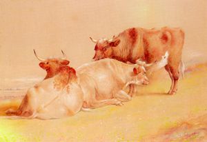 Cattle resting